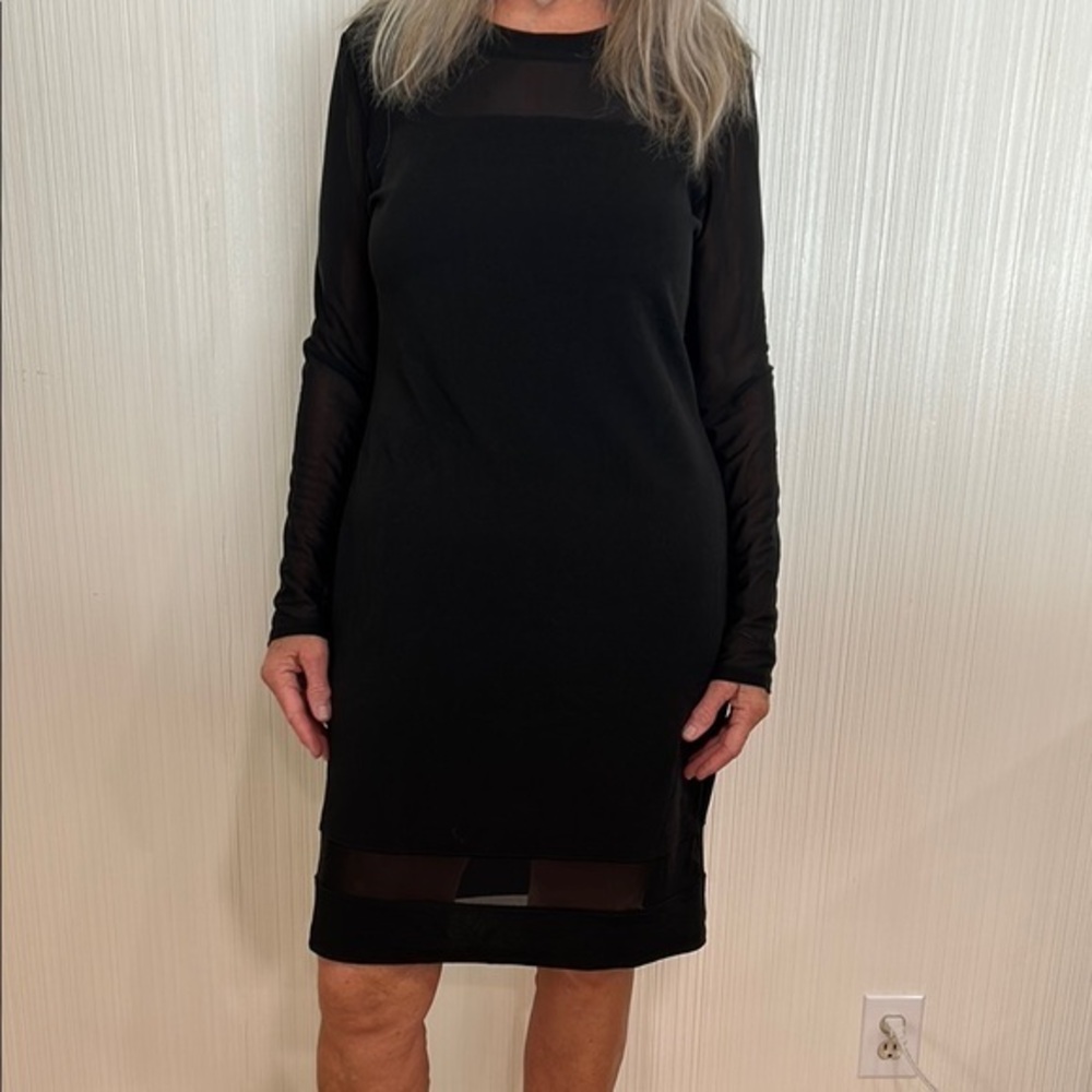 Elegant Black Sheer Sleeve Dress